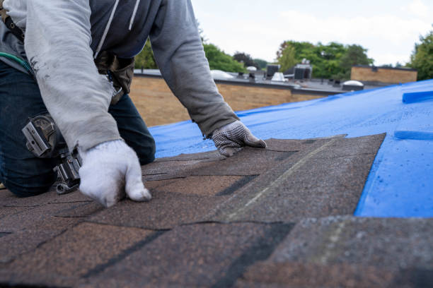 Roof Waterproofing Services in Viola, IL